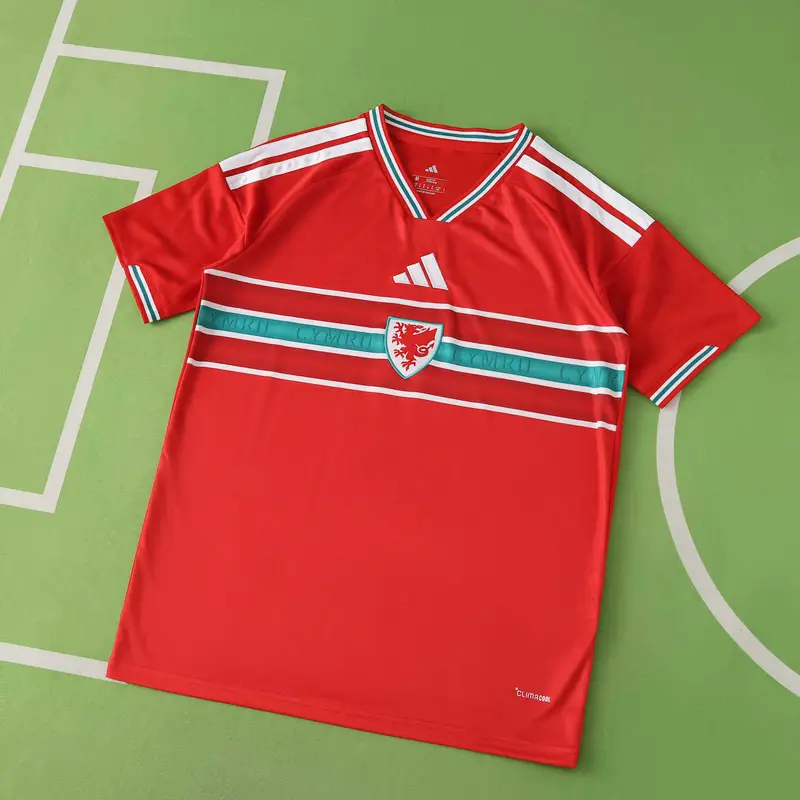 2026 Fifa World Cup Wales Home Fan Version Jersey Photos gallery
